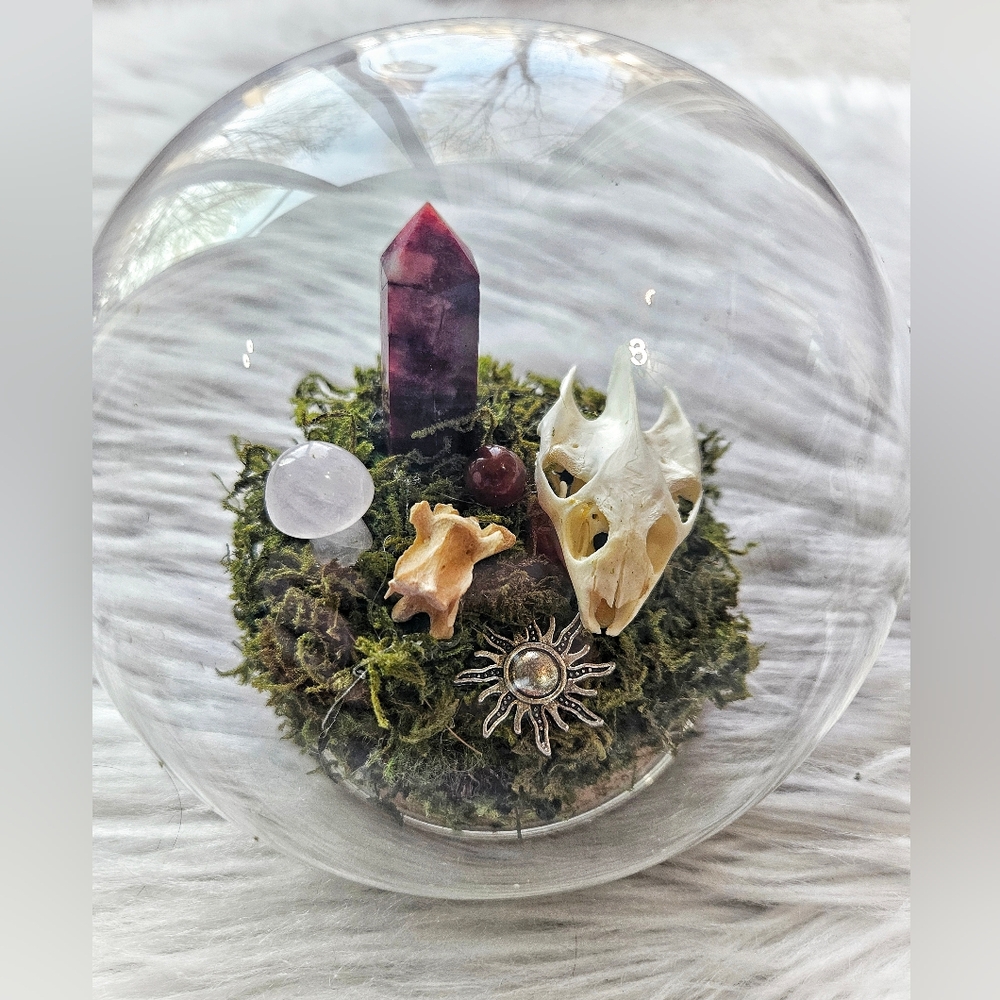 Crystal/Skull Terrarium Globe - Picture 1 of 4